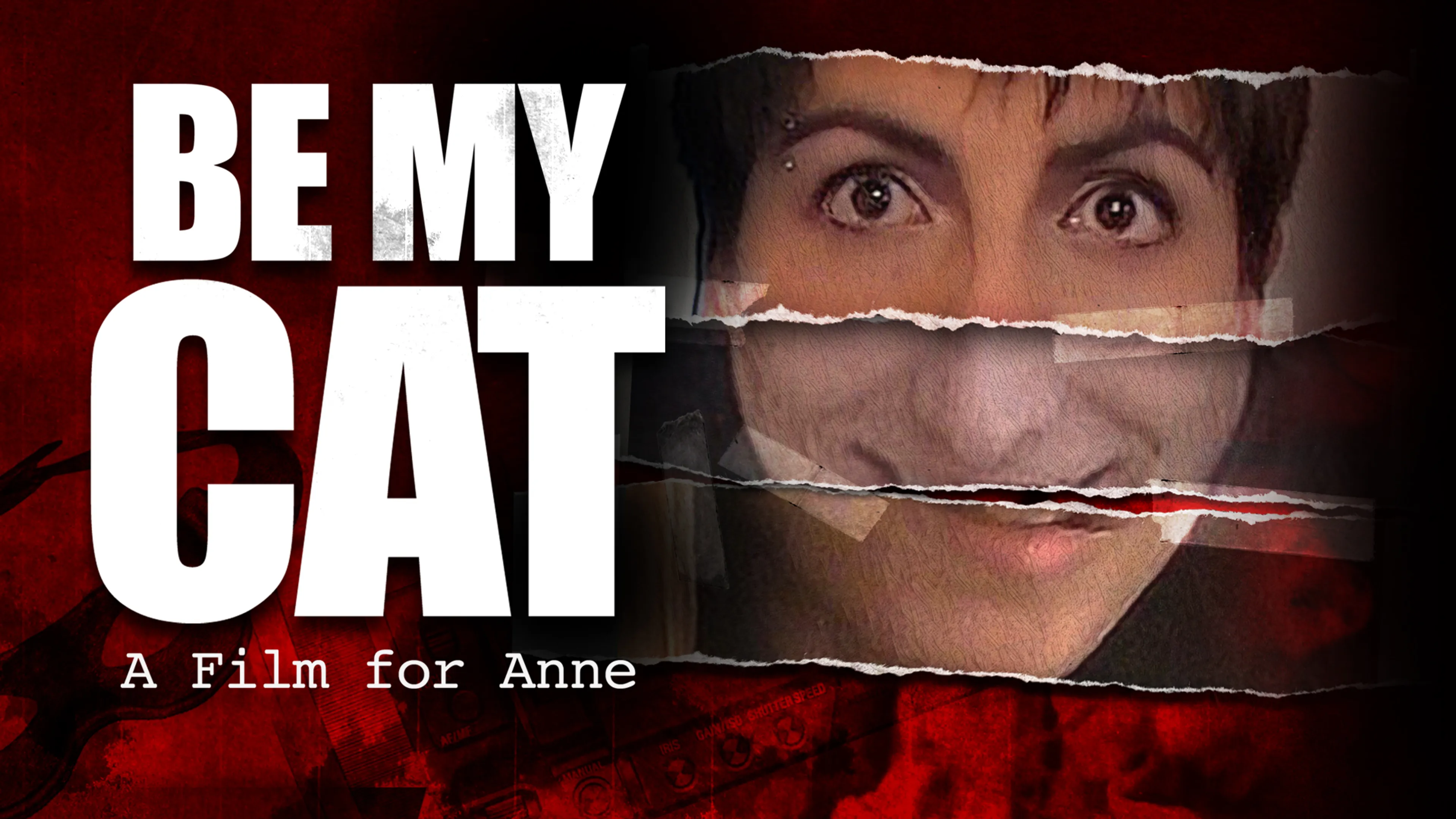 Be My Cat: A Film for Anne poster